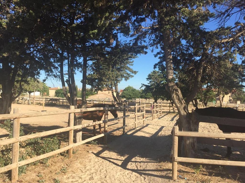 Holiday home Cabanon Du Pecheur, Parc National Des Calanques Marseille